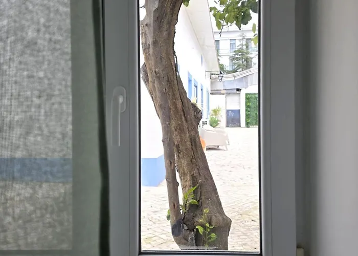 Casinhas Da Ajuda Nº13 Dağ evi *